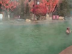 -东方华地城湿地温泉度假区
