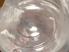 -香山湖渔家大院