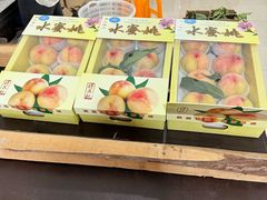 -南汇水蜜桃采摘(大团店)