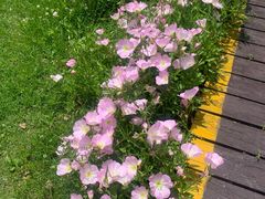 -玄武湖景区-情侣园游乐场