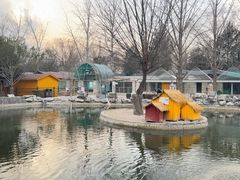 -北京市海淀外国语实验学校