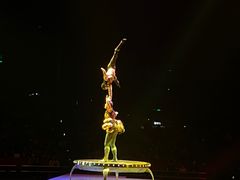 -珠海横琴长隆《卡卡虎奇遇记》