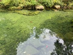 -黄公望隐居地
