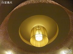 吊灯-金百万烤鸭店(马甸店)