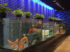 -泓历皇朝酒店(东亭店)