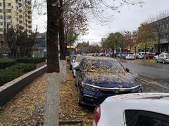 -府君山公园