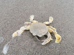 -南澳海滩