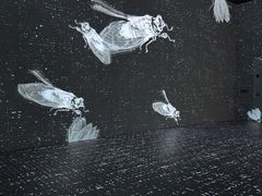 -广东省博物馆