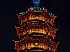 -红梅公园