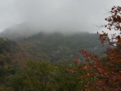 -少华山国家森林公园