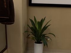 -颐而康·按摩·艾灸·足疗(汽车东站店)