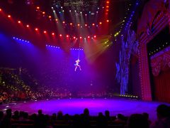 -珠海横琴长隆《卡卡虎奇遇记》