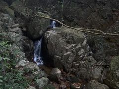 -阳台山森林公园