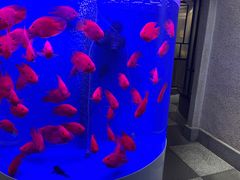 -海逸餐厅·象山海鲜