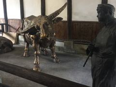 -燊海井