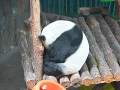 -青藏高原野生动物园