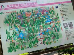 -东平国家森林公园
