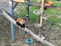 -西霞口神雕山野生动物世界