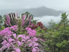 -世界和平塔