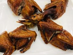 红烧乳鸽-金瑞轩大酒楼·顺德鱼生·粤菜海鲜(东江国际店)