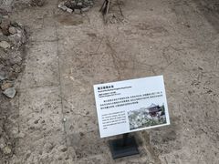 -南越王博物院(王宫展区)