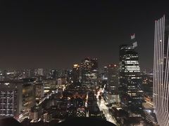 -新加坡瑞士史丹福酒店