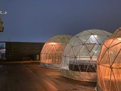 -顽啤熊·酒客酒馆(苏城夜景必选店)