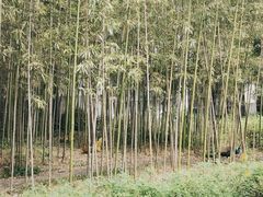 -苏州环秀晓筑养生度假村