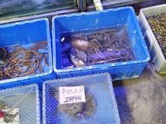 -八仔大富楼·河鲜(西江店)