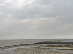 -奉贤海滩