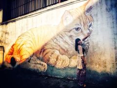 -槟城街头艺术街区