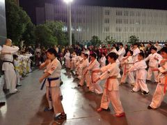 android_upload_pic-极真空手道修远道场