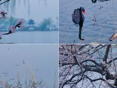 -颐和园