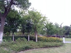 -映月湖中央公园