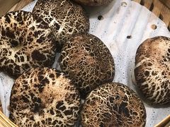 -嘉年华大酒店琴湾-自助餐厅