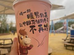 -中国马镇舞马世界主题乐园