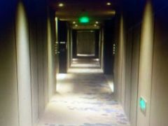 -百灵希尔顿逸林酒店·逸林轩中餐厅