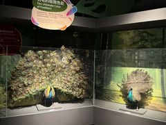 -厦门诚毅自然探索馆
