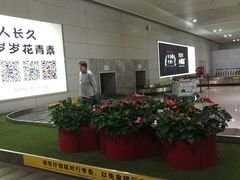 -西宁曹家堡国际机场-T2航站楼