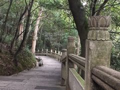 -普陀山风景区-佛顶山