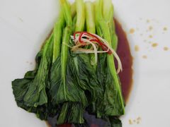 -茶人村·前滩江景雅宴(上海首店)