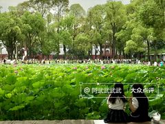-四川大学(望江校区)