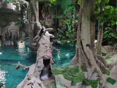 -福州罗源湾海洋世界旅游区