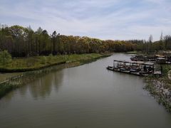 -上海长兴岛郊野公园