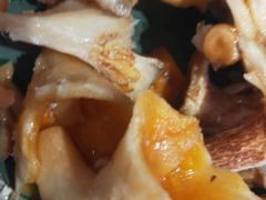 -木王宴语·野生鲜菌火锅(玉河店)