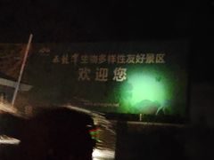 -宁波五龙潭景区