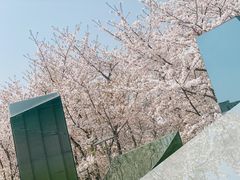 -龙美术馆(西岸馆)