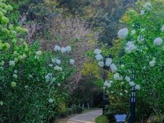 -铁山坪森林公园