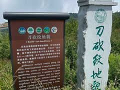-王莽岭风景区