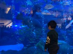 -成都浩海立方海洋公园